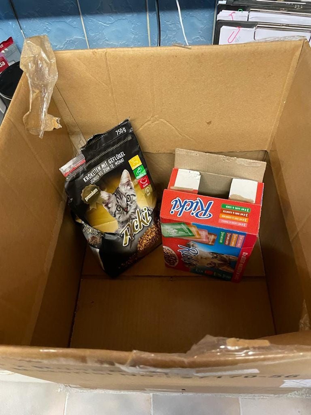 In dieser Schachtel wurden die drei Katzenkinder gefunden.