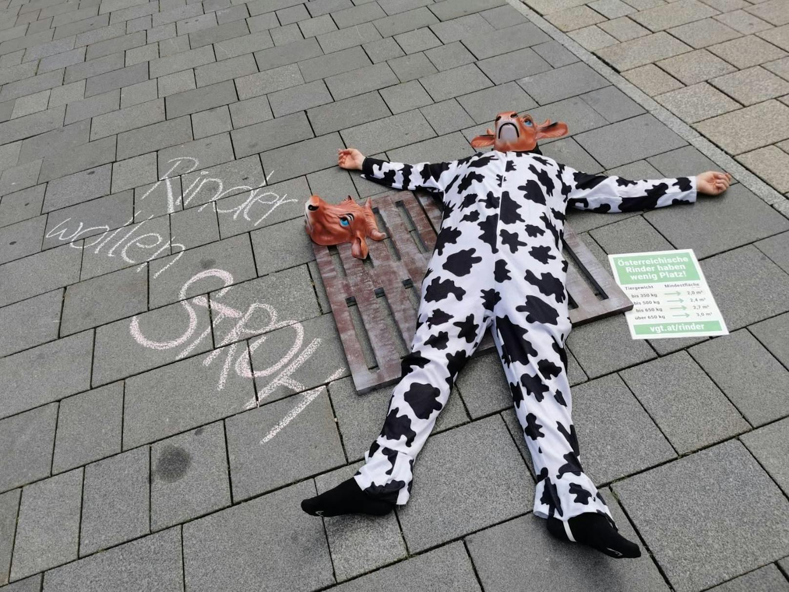 Proteste gegen Rinderleid auf Vollspaltenboden