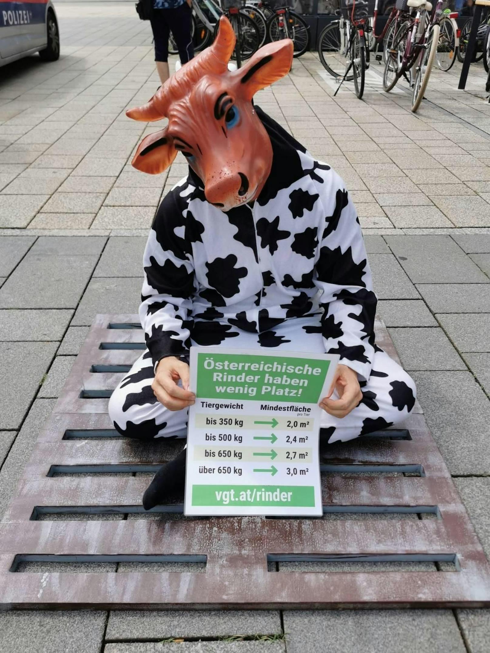 Tierschützer protestierten in Rinderkostümen gegen Vollspaltenböden.