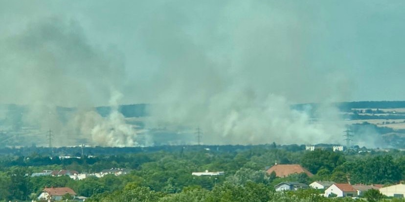 In Seyring (Bezirk Korneuburg) kam es am Sonntag zu einem Flurbrand.