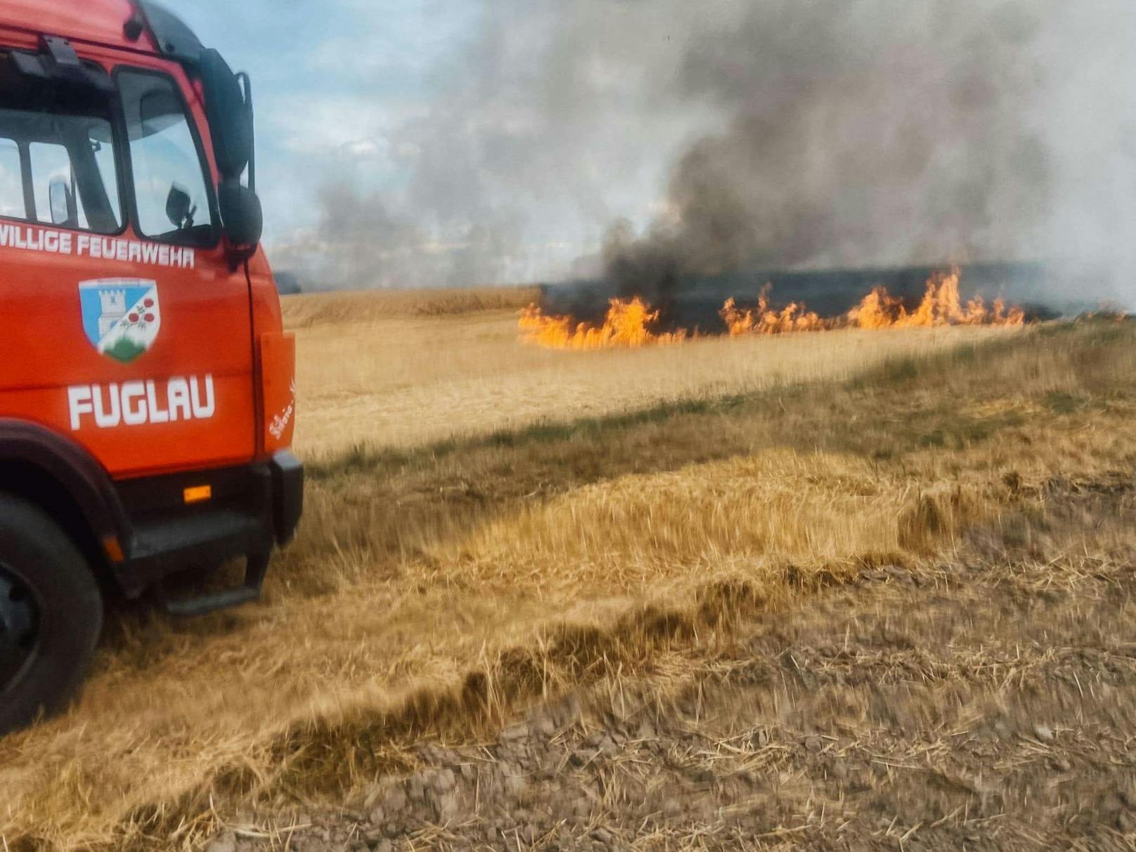 Die Flammen vernichteten sechs Hektar Ackerfläche.