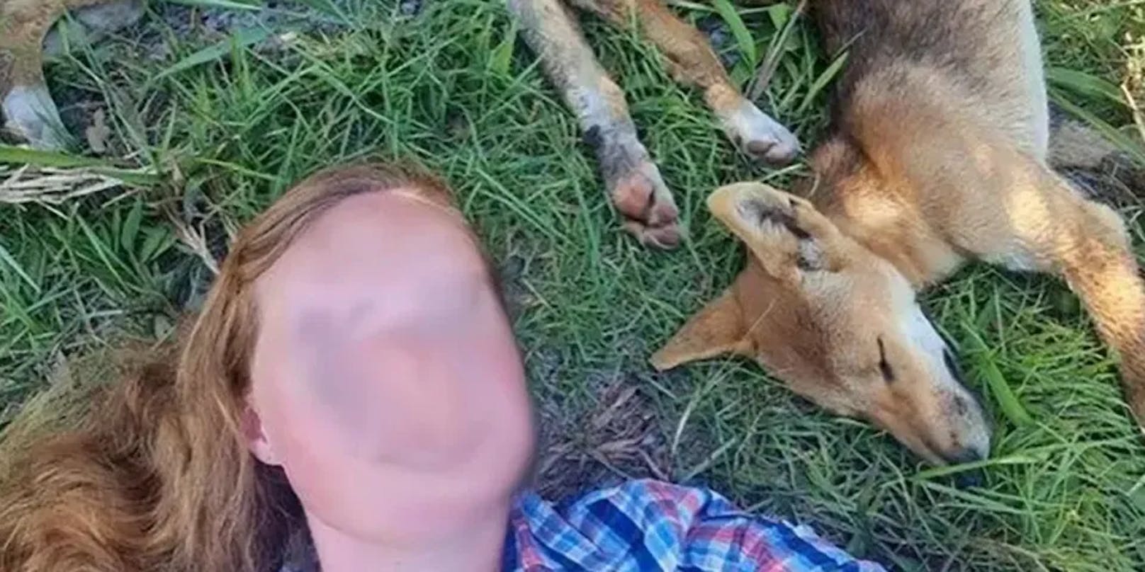 Gleich zwei Touristinnen posteten Selfies mit Dingos in Social-Media-Kanälen.