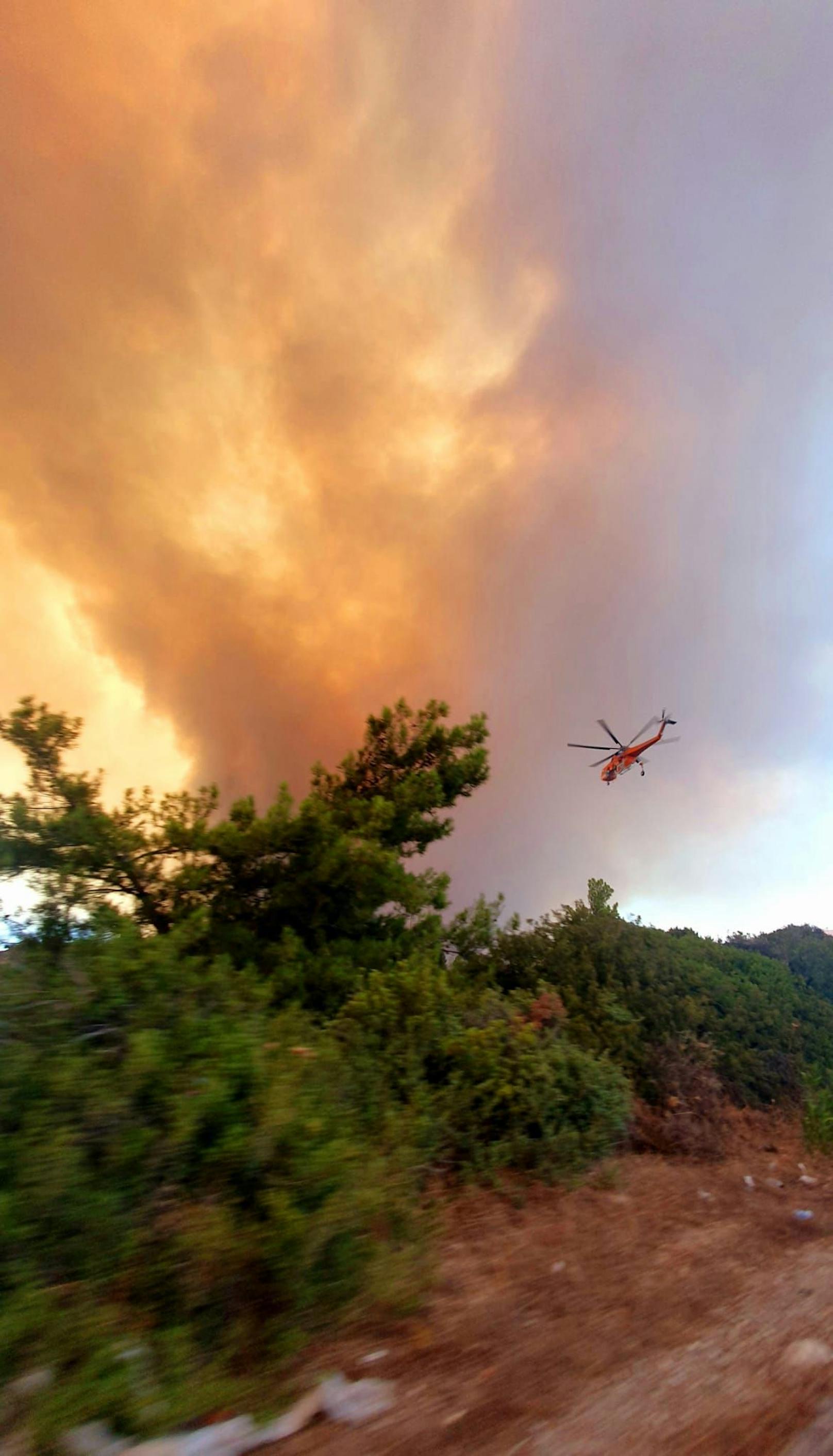 Rene und seine Freundin kämpften gegen die Flammen auf Rhodos.