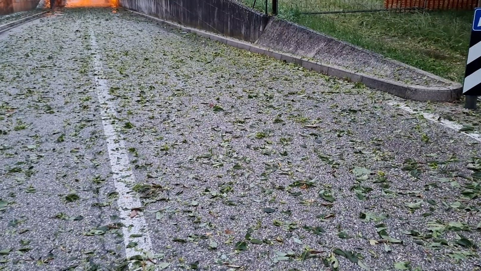 Kräftige Unwetter haben in Pordenone (Italien) schwere Schäden in der Landwirtschaft hinterlassen. Starkregen, Sturmböen und Hagel hinterließen eine Spur der Verwüstung.