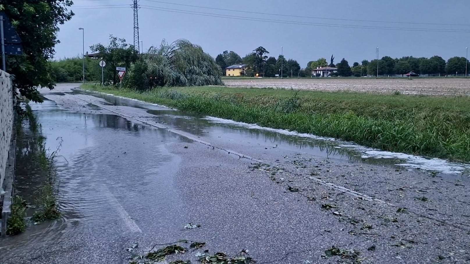 Kräftige Unwetter haben in Pordenone (Italien) schwere Schäden in der Landwirtschaft hinterlassen. Starkregen, Sturmböen und Hagel hinterließen eine Spur der Verwüstung.