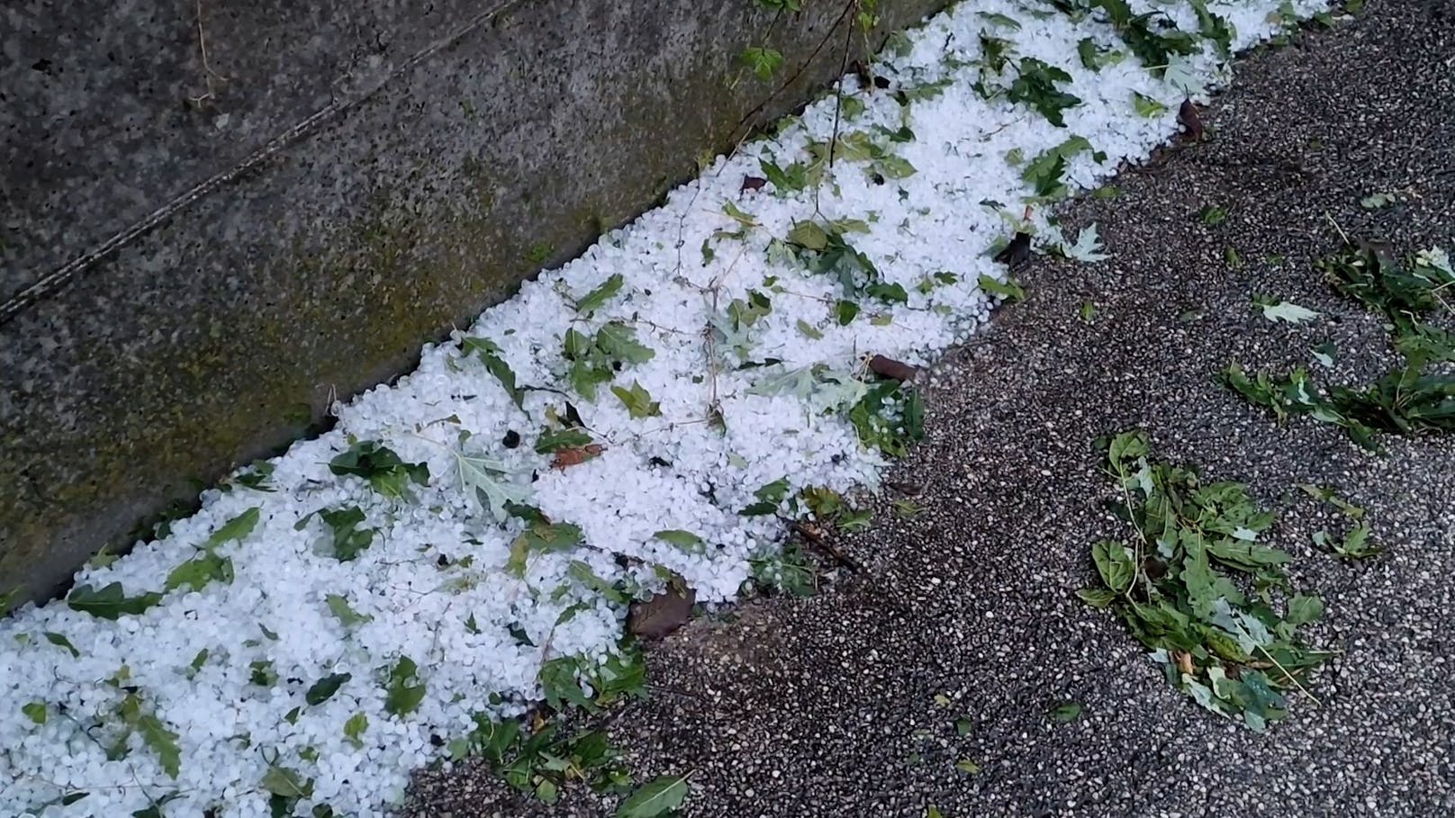 Kräftige Unwetter haben in Pordenone (Italien) schwere Schäden in der Landwirtschaft hinterlassen. Starkregen, Sturmböen und Hagel hinterließen eine Spur der Verwüstung.