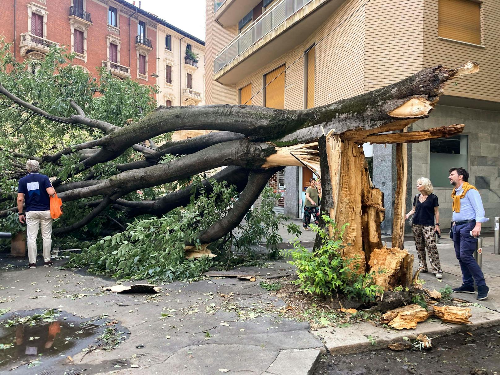 Unwetter-Schäden in Mailand am 25. Juli 2023. Norditalien wird seit Tagen von Sturm, Starkregen und Hagel in Rekordgröße verwüstet.
