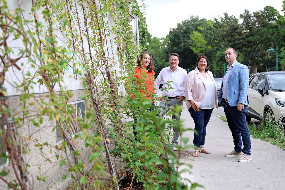 Brigittnauer Bezirksvorsteherin Christine Dubravac-Wildholm, Klimastadtrat Jürgen Czernohorszky, Wohnbaustadträtin Kathrin Gaál (alle SPÖ) und Wiener Wohnen-Vizedirektor Daniel Milovic-Braun (v.l.) besuchten die neue Fassadenbegrünung in der Jägerstraße. 