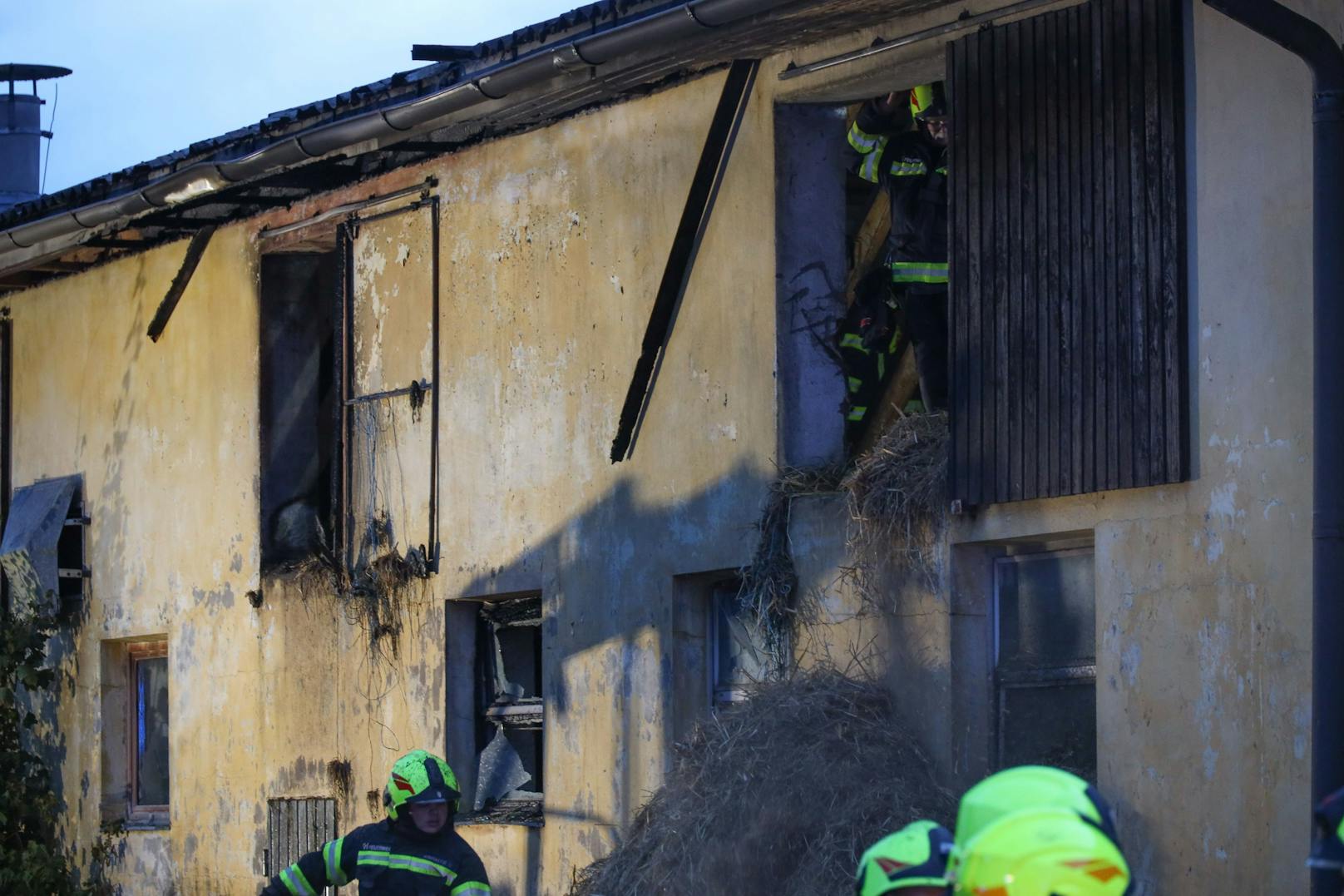 In Alkoven (Bezirk Eferding) standen am Mittwoch in den frühen Morgenstunden vier Feuerwehren bei einem Brand auf einem Bauernhof im Einsatz.