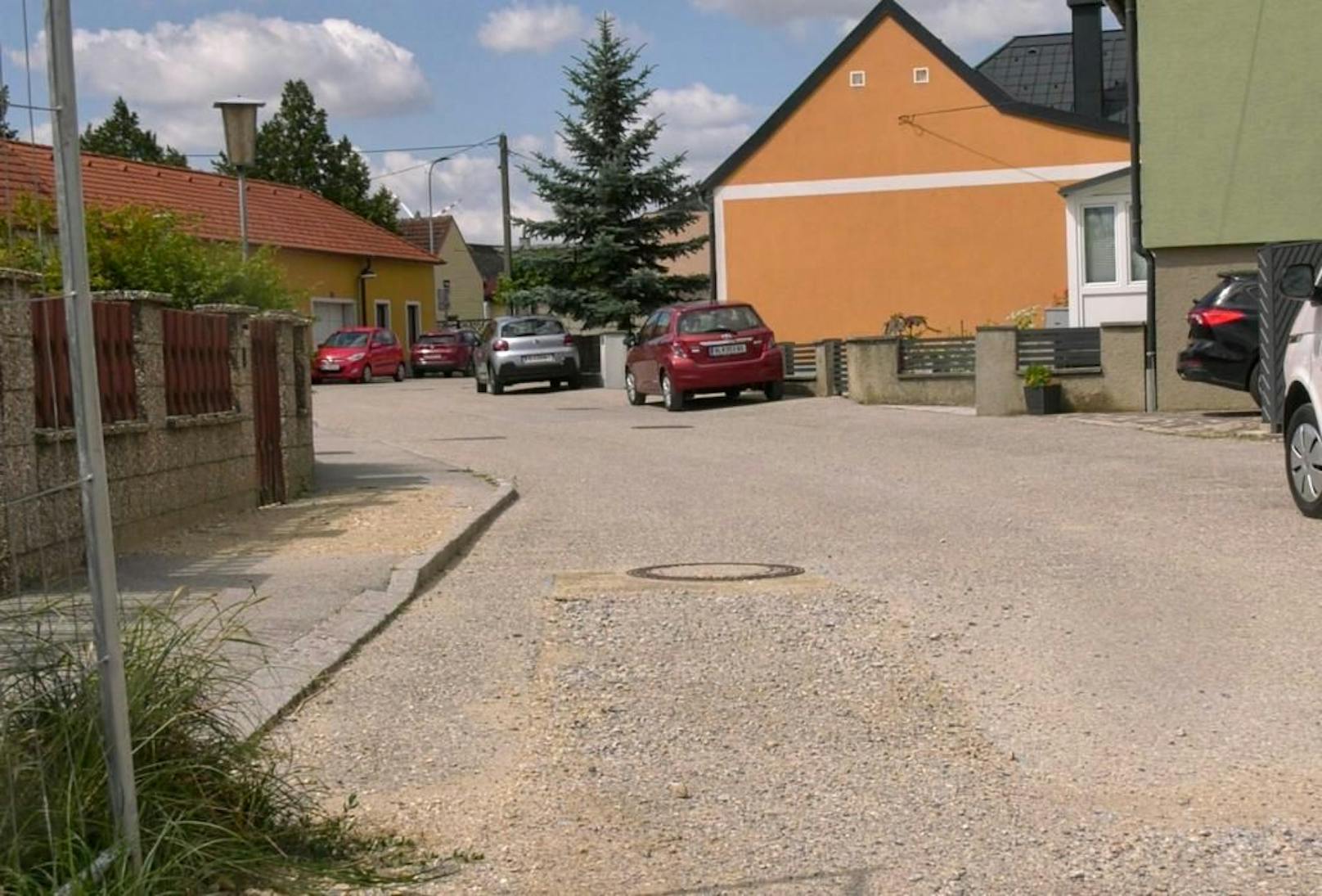 Hier in Wilfleinsdorf kam es zum Biss-Unfall mit einem Rottweiler