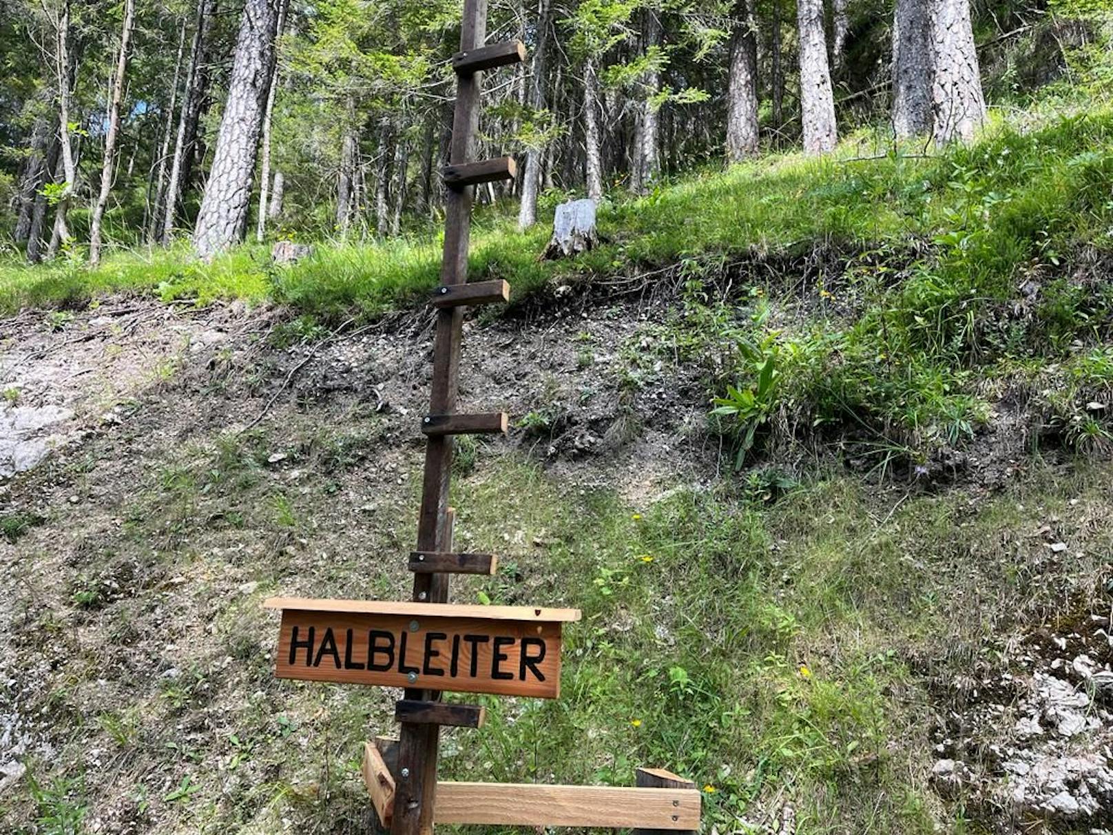 Halbleiter am Schmunzelweg