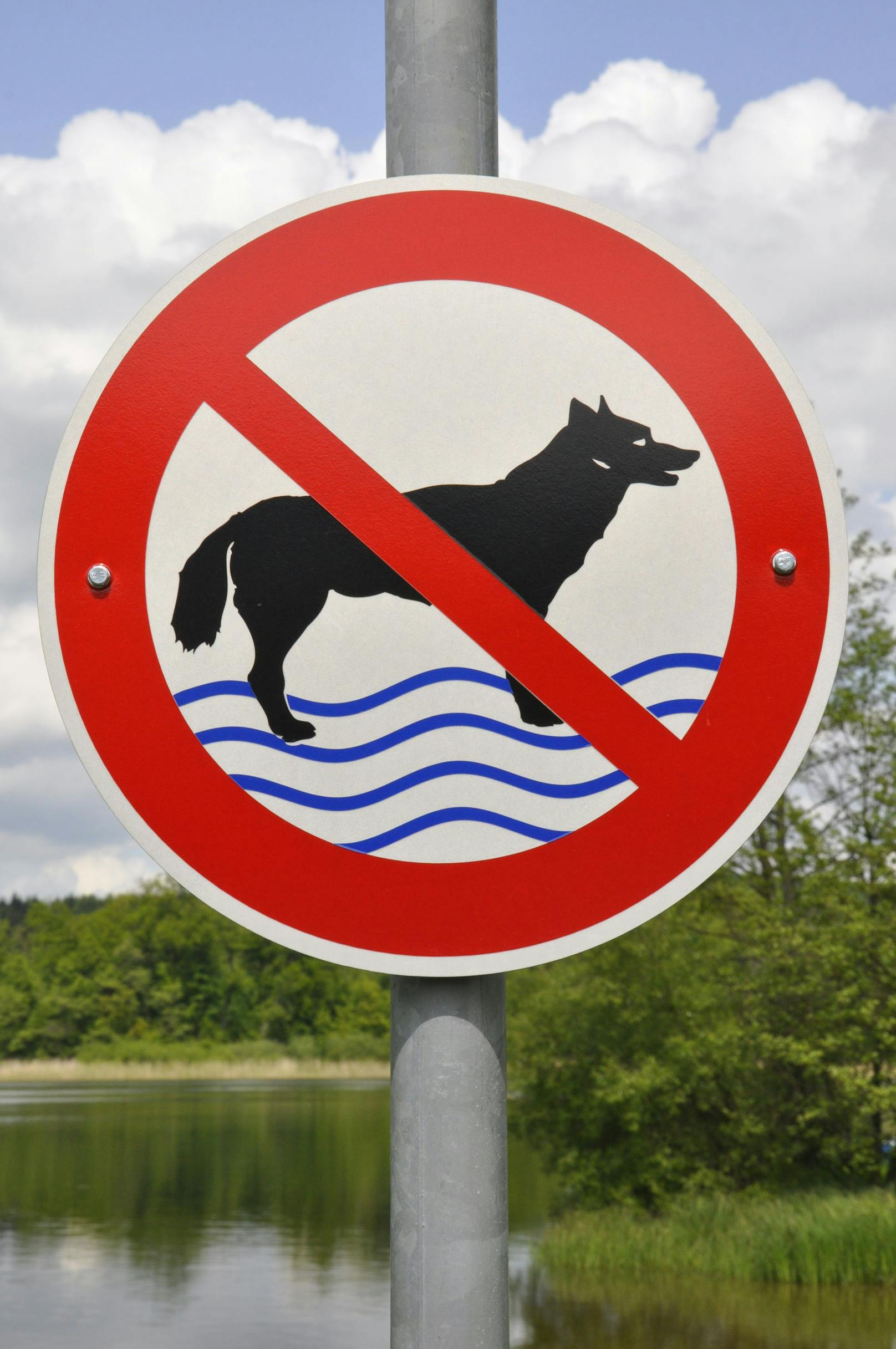 Hunde dürfen am Rohrfeldteich nicht ins Wasser gehen, betont die Gemeinde Guntramsdorf jetzt erneut.