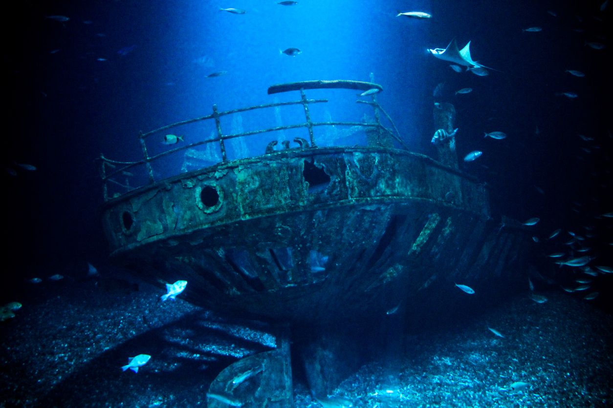 Die Ostsee ist das am Meisten verseuchte Meer in Europa.