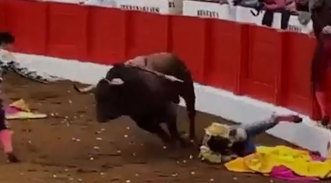 Heute.at - Messi der Matadore von Stier durch Luft geschleudert