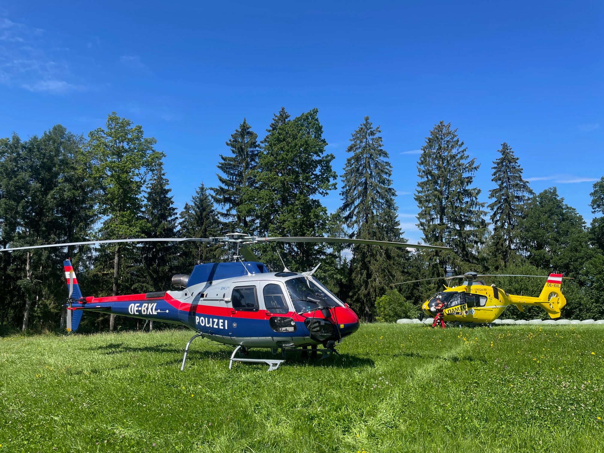 Auch Hubschrauber kommen bei der Suchaktion zum Einsatz.