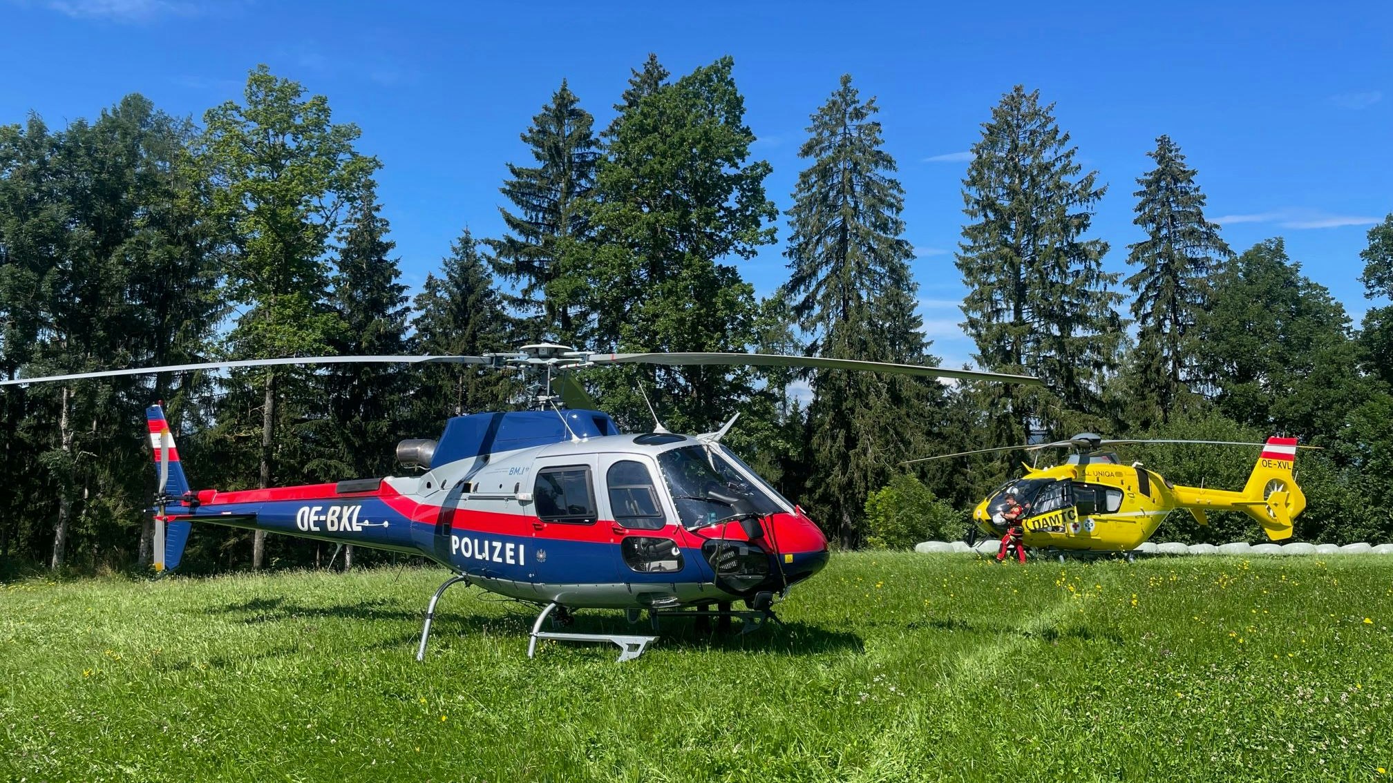 Der 73-Jährige war offenbar beim Schwammerlsuchen gestürzt und hatte sich dabei verletzt.