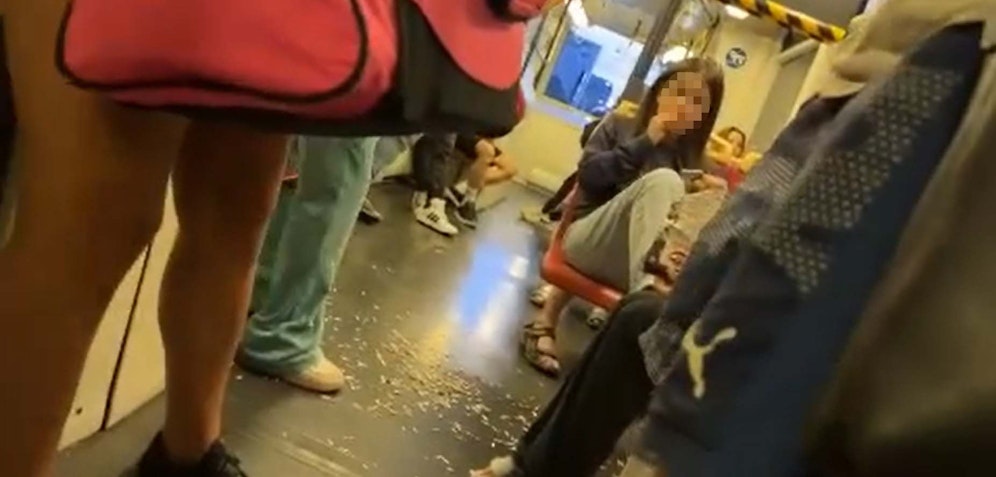 Die junge Wienerin schmiss die Sonnenblumenschalen einfach auf den Boden.