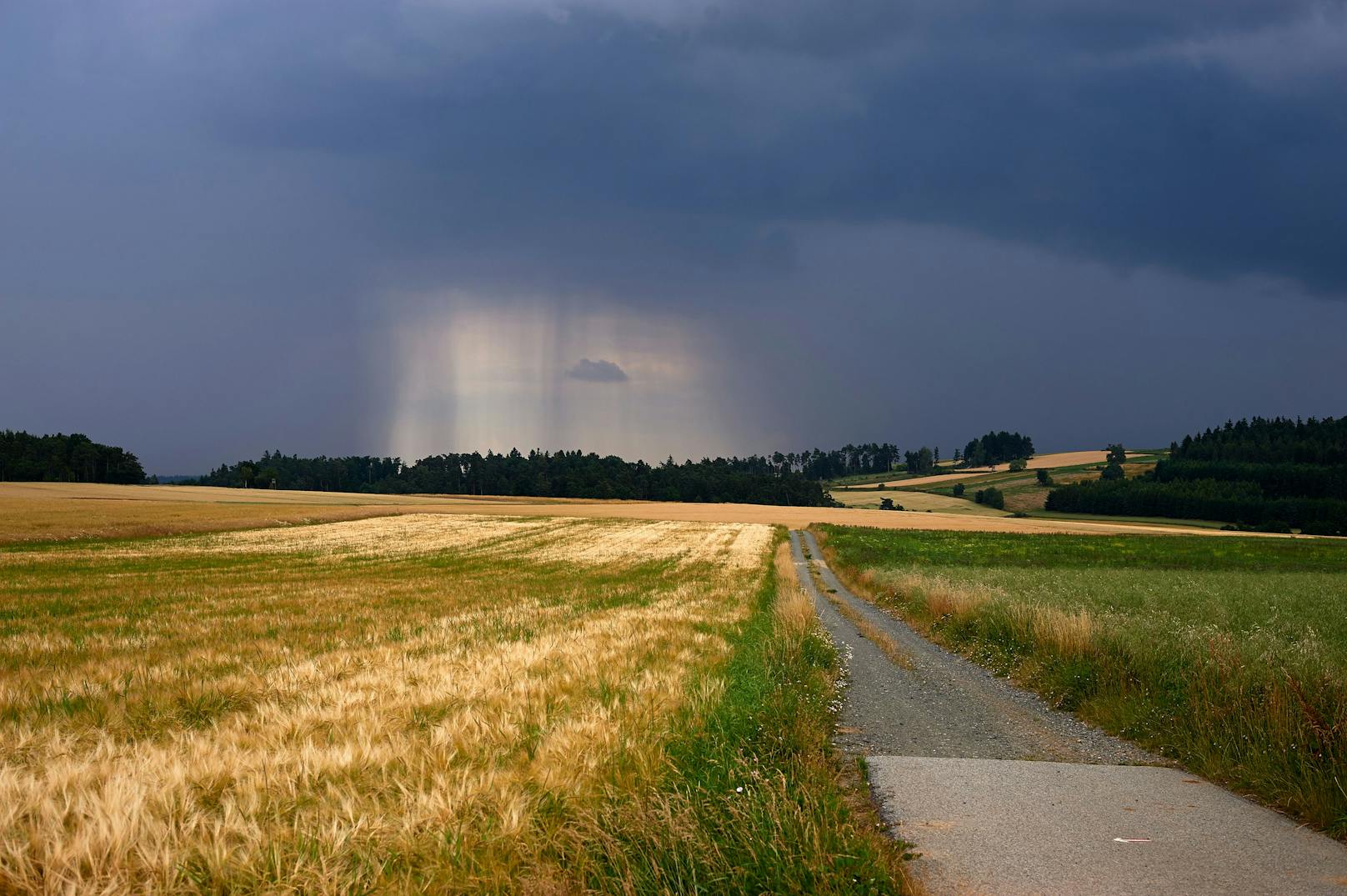 Eine Gewitterfront über einem Kornfeld im niederösterreichischen Waldviertel. Symbolbild.