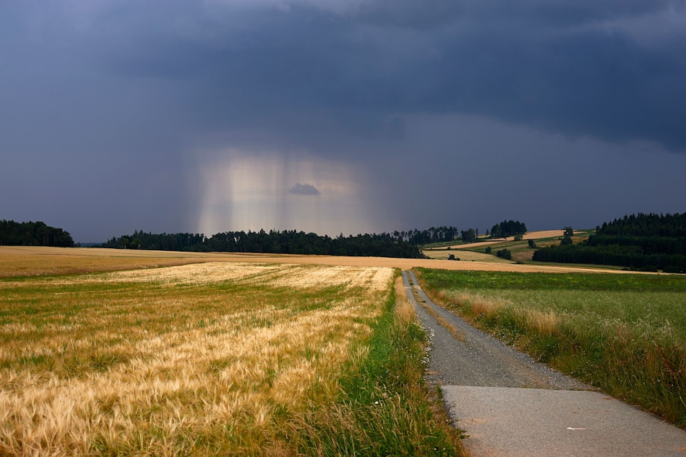 Eine Gewitterfront über einem Kornfeld im niederösterreichischen Waldviertel. Symbolbild.