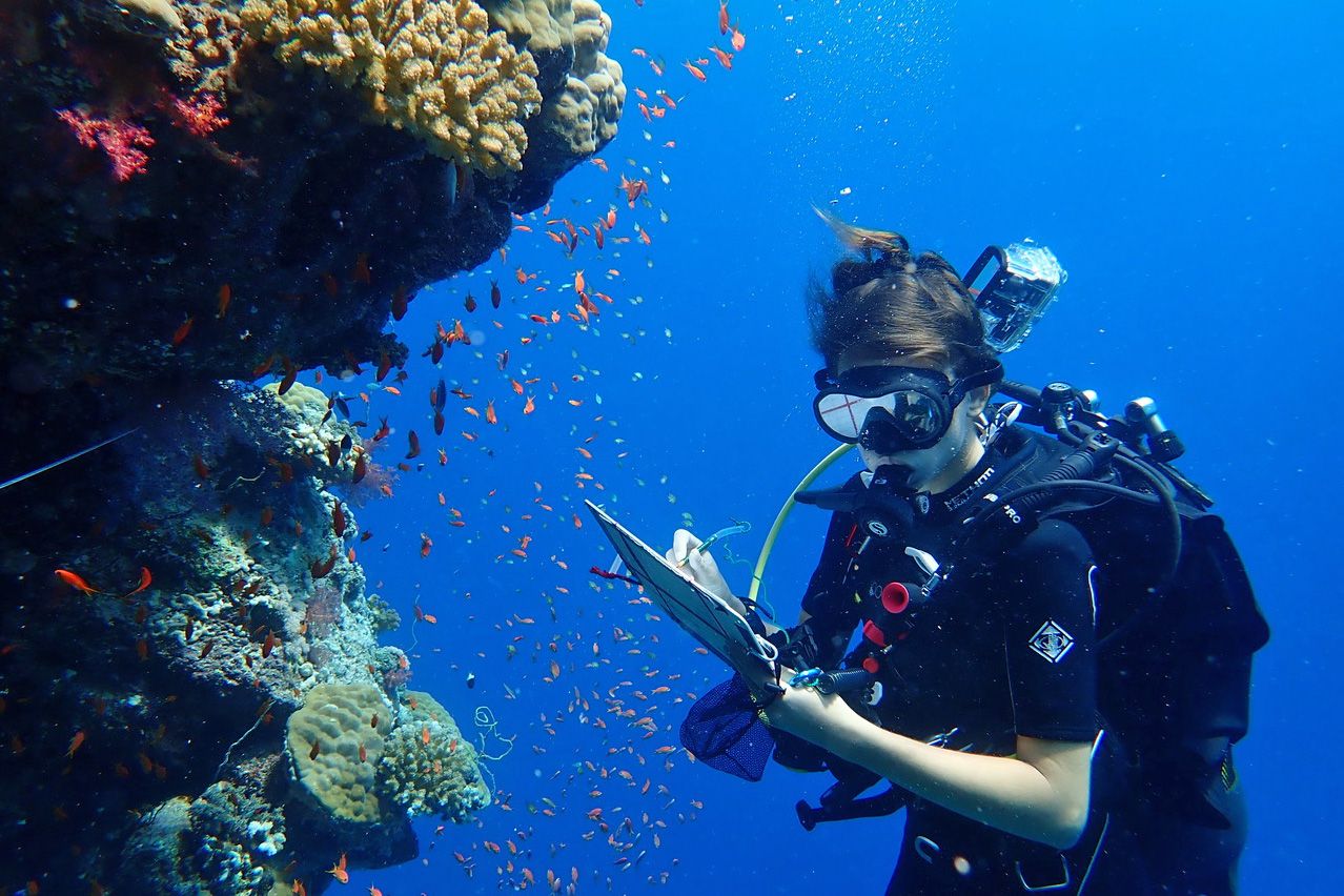 Die letzte erdgeschichtliche Warmzeit, die mit dem aktuellen Klimawandel vergleichbar ist, liegt 125.000 Jahre zurück. Wiener Forscher untersuchen diese nun anhand von fossilen Korallenriffen in Ägypten und im Sudan.