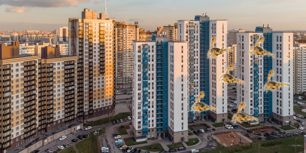 Über 20 Fälle sollen dem Krankenhaus bereits bekannt sein. (Symbolbild)