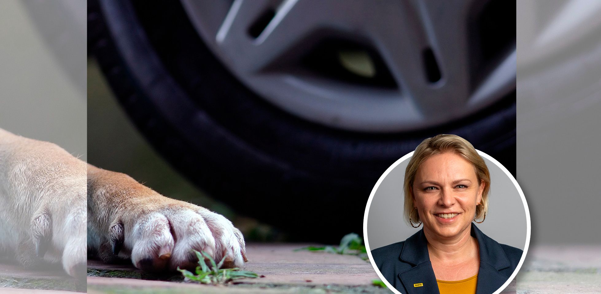 ÖAMTC-Juristin Silvia Winklhamer weiß, was man nach einem Unfall beachten muss.