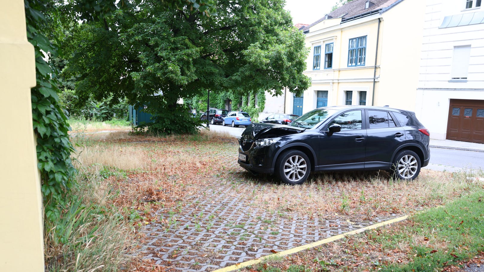 Ein Alkotest ergab laut Polizei einen Wert von 1,32 Promille.&nbsp;