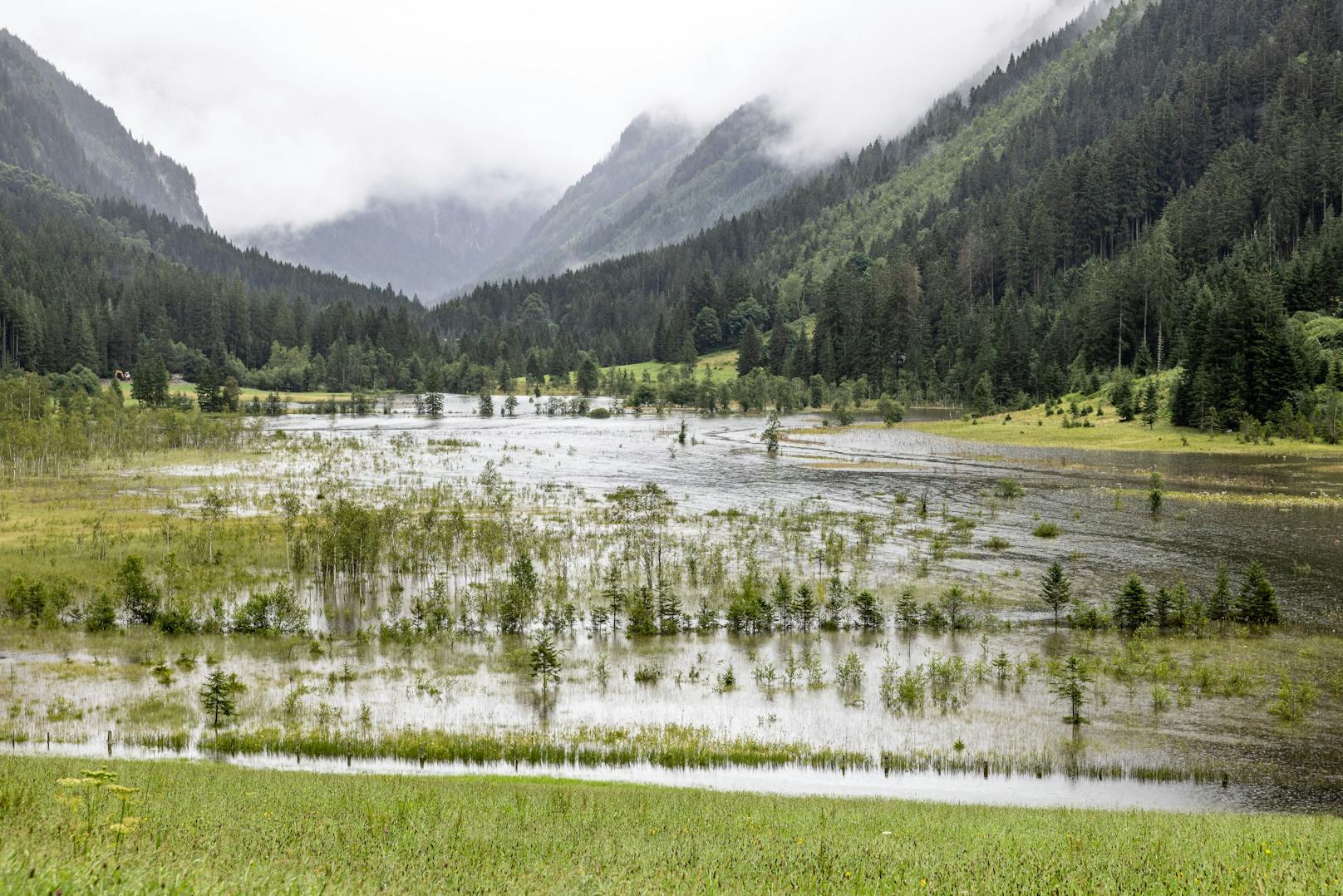 Das Tettermoor wirkt als natürlicher Hochwasserschutz für die Stadt Schladming und das Ennstal.