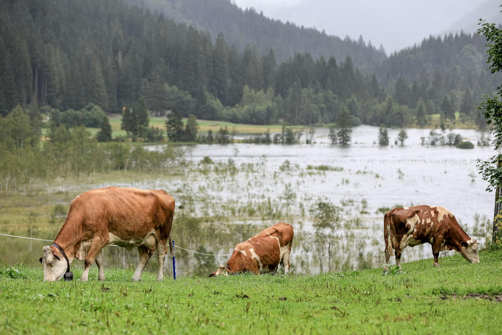 Nach starken Regenfällen im Zuge eines Genua-Tiefs am 4. und 5. August 2023 trat der Untertalbach im Tettermoor über die Ufer und ließ den temporären Tettersee entstehen.
