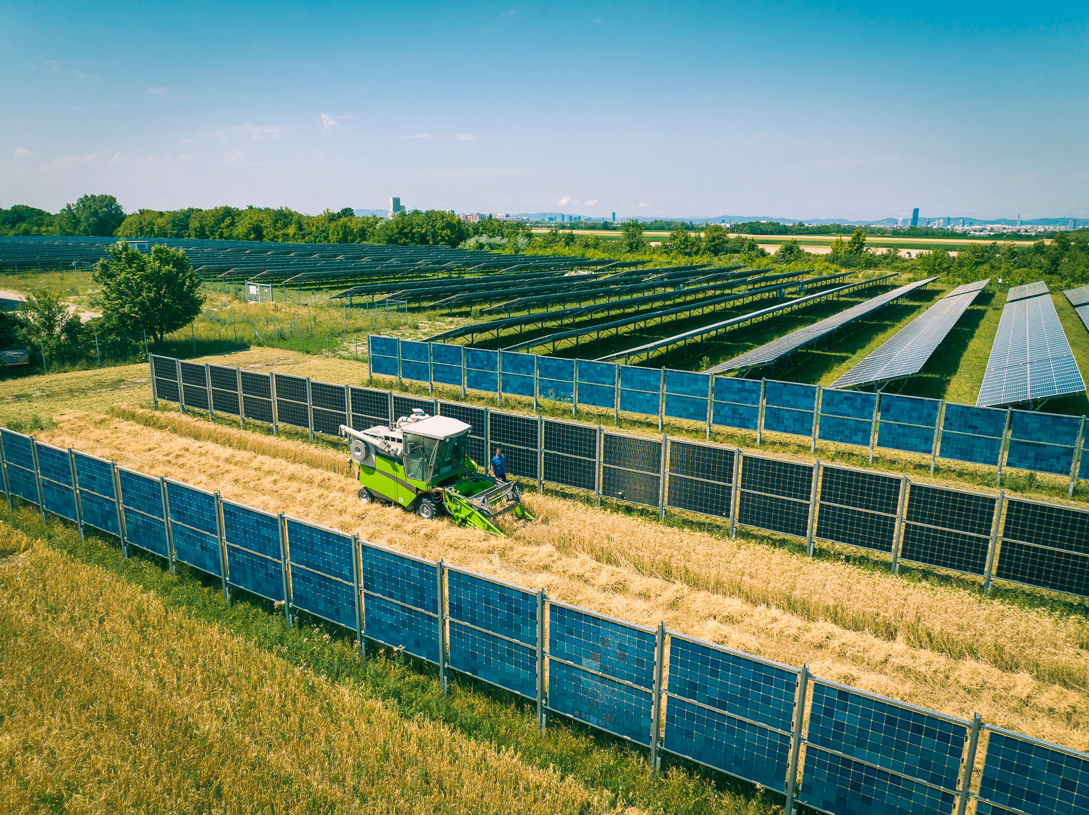 Agri-PV gibt es in verschiedensten Bauformen. U.a. in vertikal errichteten Anlagen, die die Durchfahrt von Traktoren weiter ermöglichen. Dazwischen können Getreide oder andere Feldfrüchte angebaut werden. Dieses Bild stammt vom <a target=