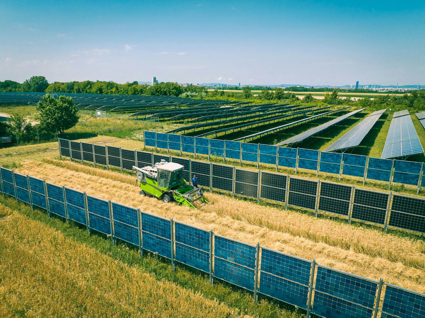 Seit 2019 testet Wien Energie in Zusammenarbeit mit der Universität für Bodenkultur die Doppelnutzung landwirtschaftlicher Flächen für die Sonnenstrom-Produktion-