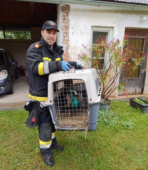 Feuerwehrmann mit eingefangenem Vogel