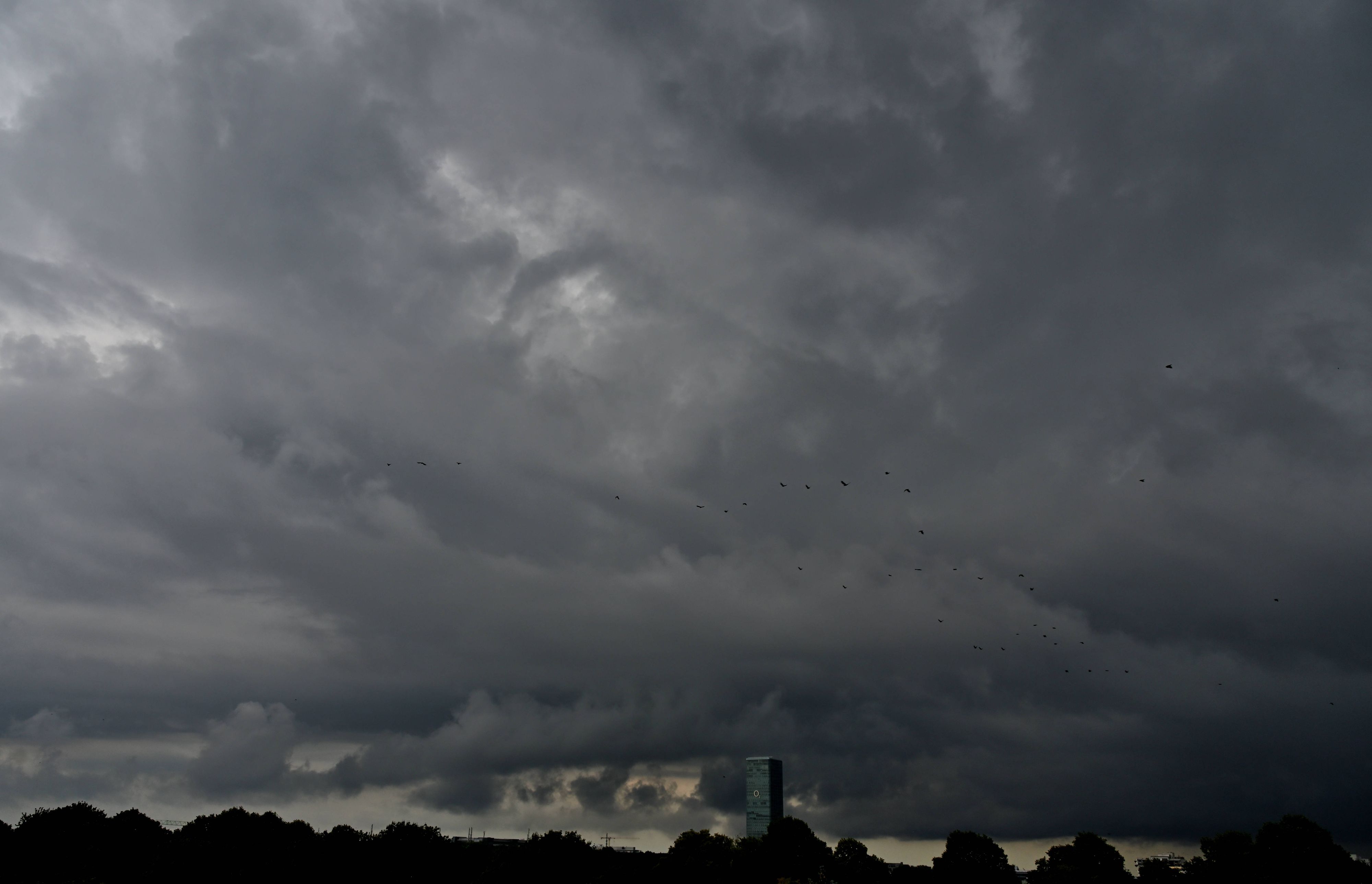 Experten warnen vor Sturm und Gewitter. (Symbolbild)