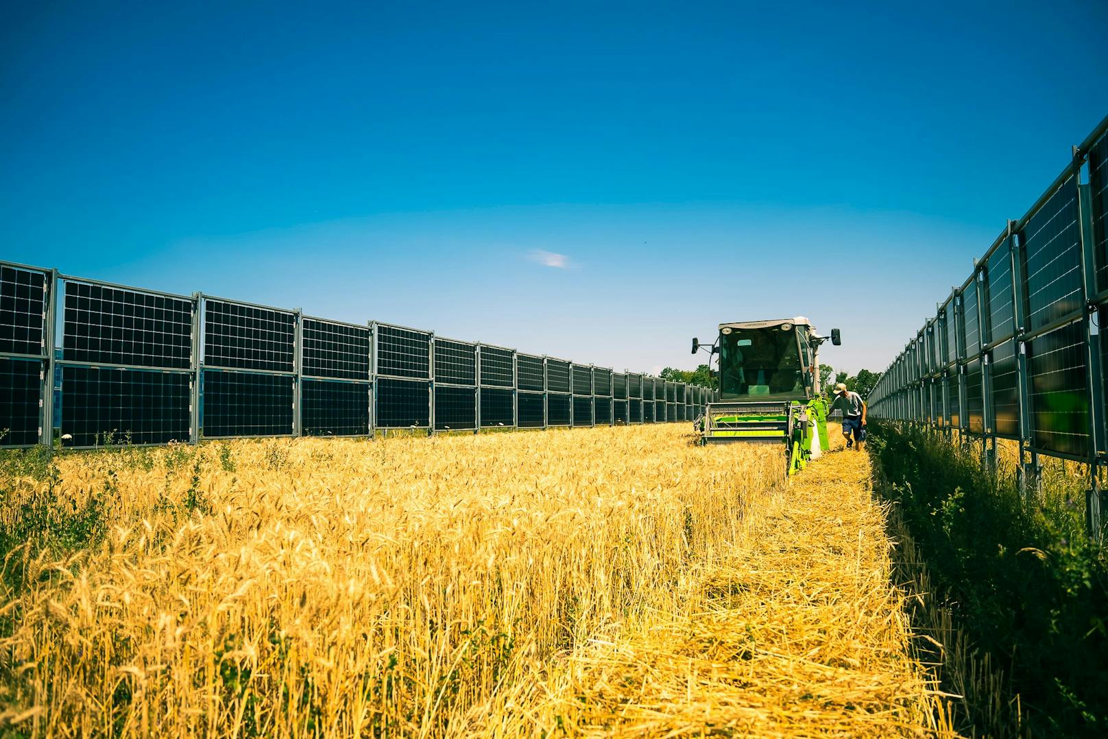 Rund 85 Prozent der Fläche werden für Ackerbau, etwa 4 Prozent für sogenannte Blühstreifen und ein Prozent für das Photovoltaikgerüst verwendet.