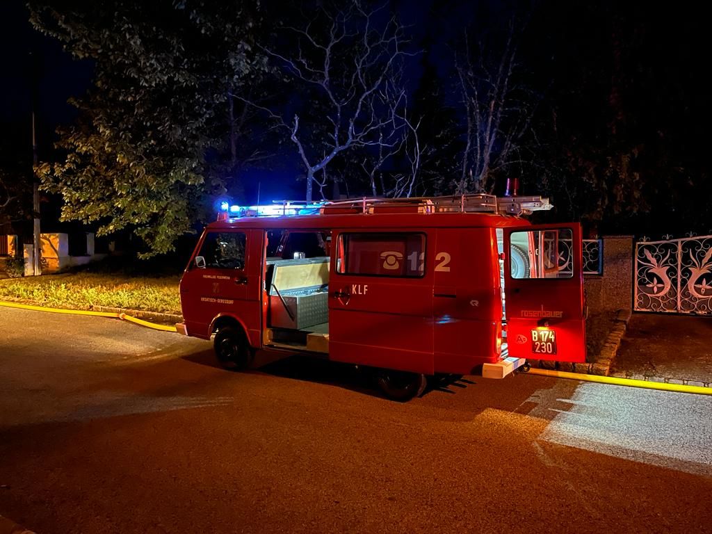 Bei einem Zimmerbrand in Nikitsch kam ein 59-Jähriger ums Leben. 