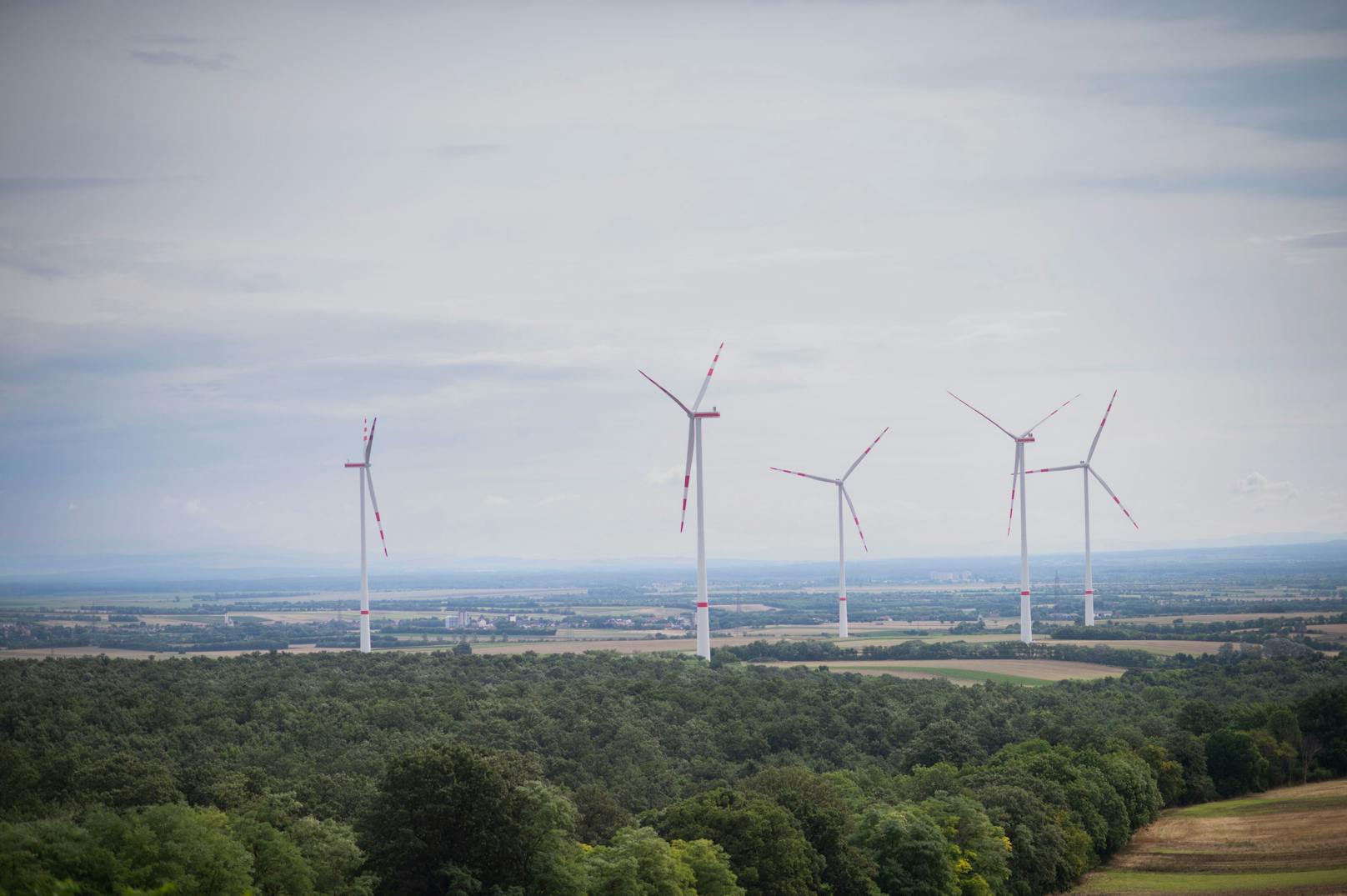 Fünf der sieben Windkraftanlagen im Windpark Palterndorf-Dobermannsdorf/Neusiedl an der Zaya wurden bereits errichtet.