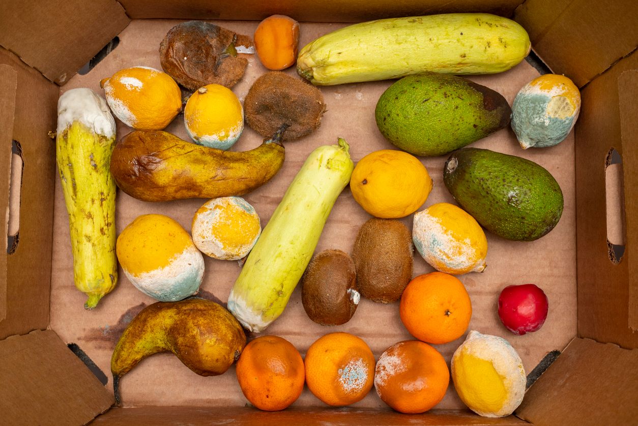 Rotten fruits and spoiled vegetables in a cardboard box in a warehouse in a store before disposal. Top view of food waste.
