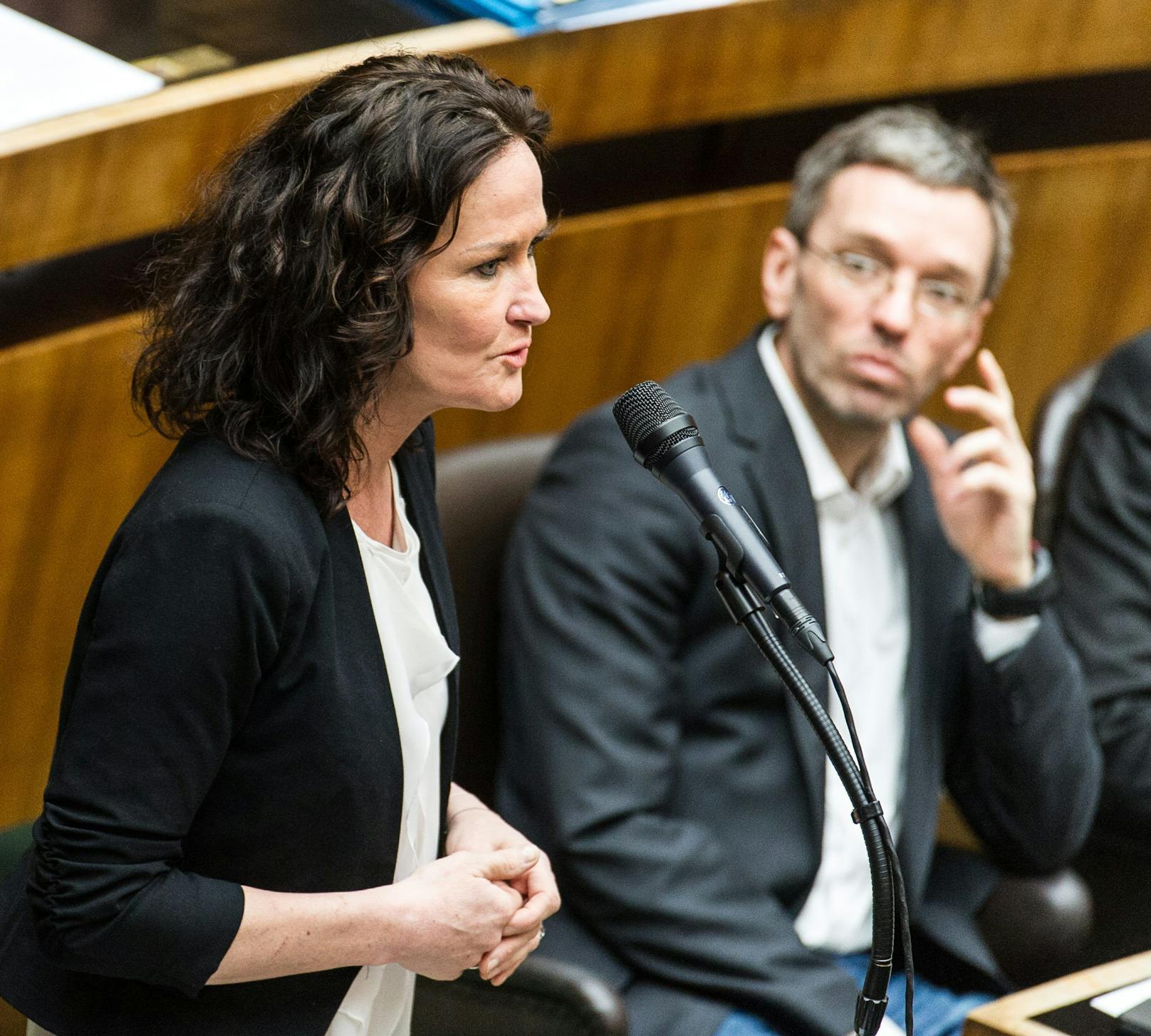 Rückblick auf 2014: Die damals Grünen-Klubobfrau Eva Glawischnig vor dem FPÖ-Nationalratsabgeordneten Herbert Kickl.