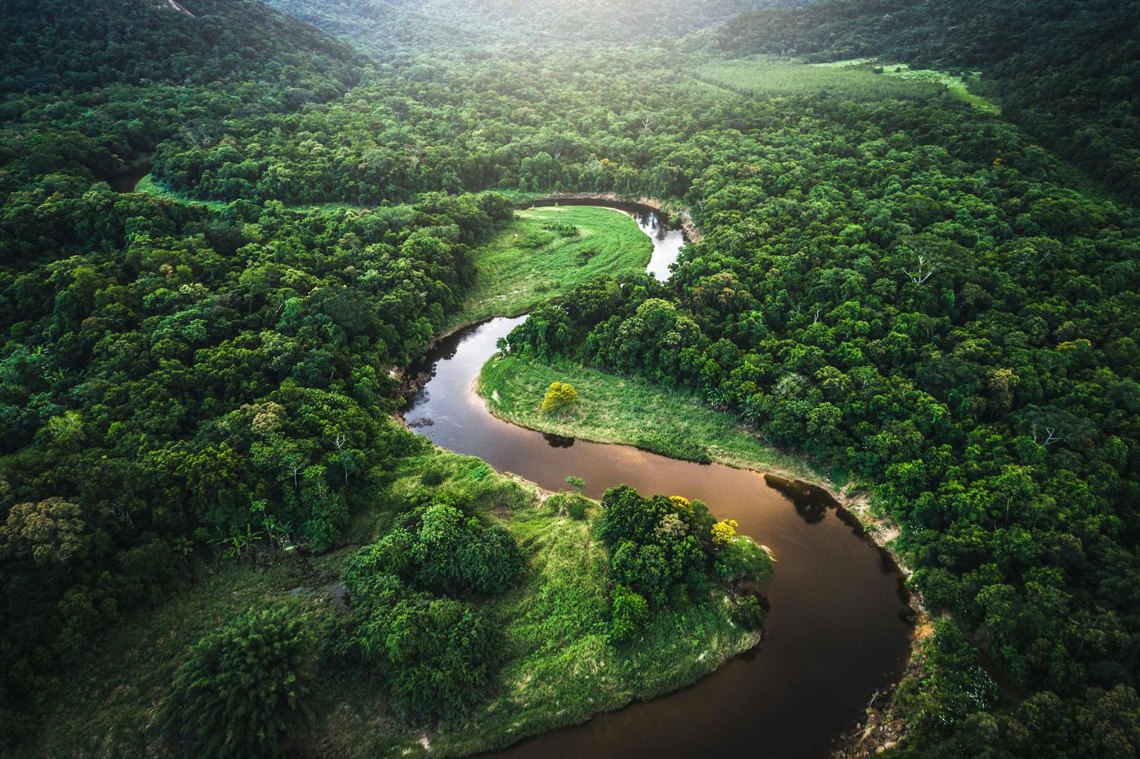 Amazonas-Gipfel schmiedet Allianz gegen Waldzerstörung
