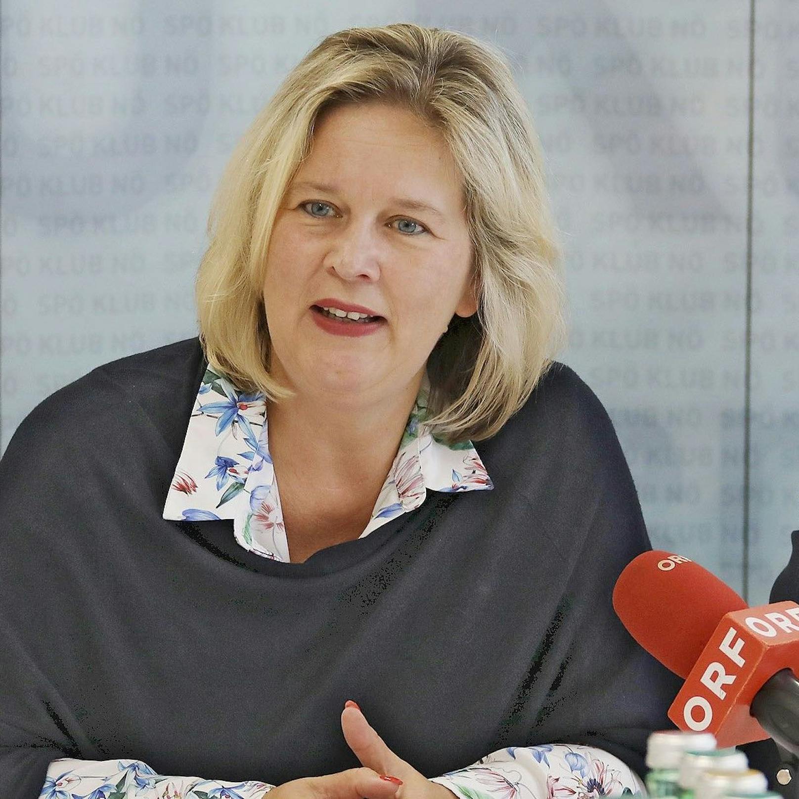 Die Bildungssprecherin der SPNÖ, Landtagsabgeordnete Elvira Schmidt