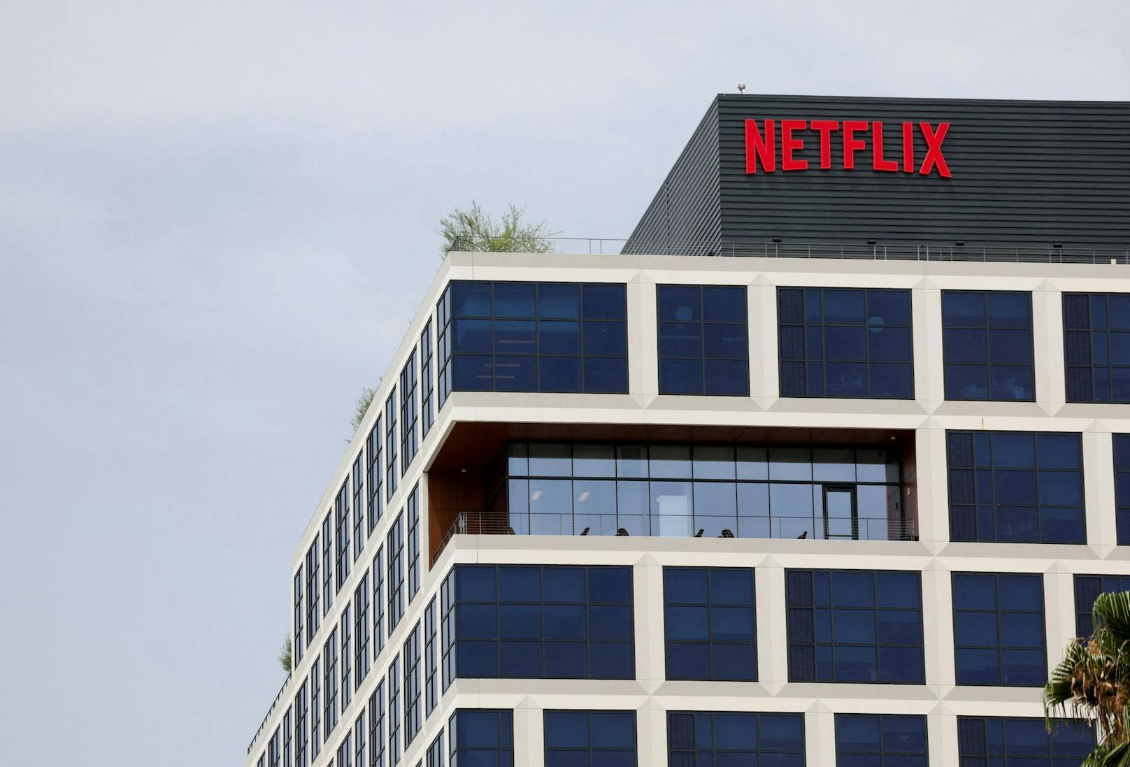 Netflix hatte seine Maßnahmen gegen Passwort-Trittbrettfahrer seit Anfang des Sommers auch in Europa umgesetzt.