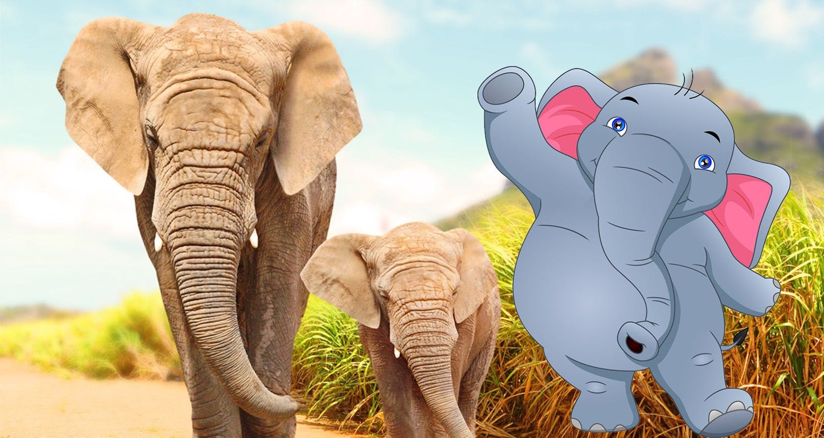 Törööö! "Heute" kürt die schönste Elefanten-Zeichnung