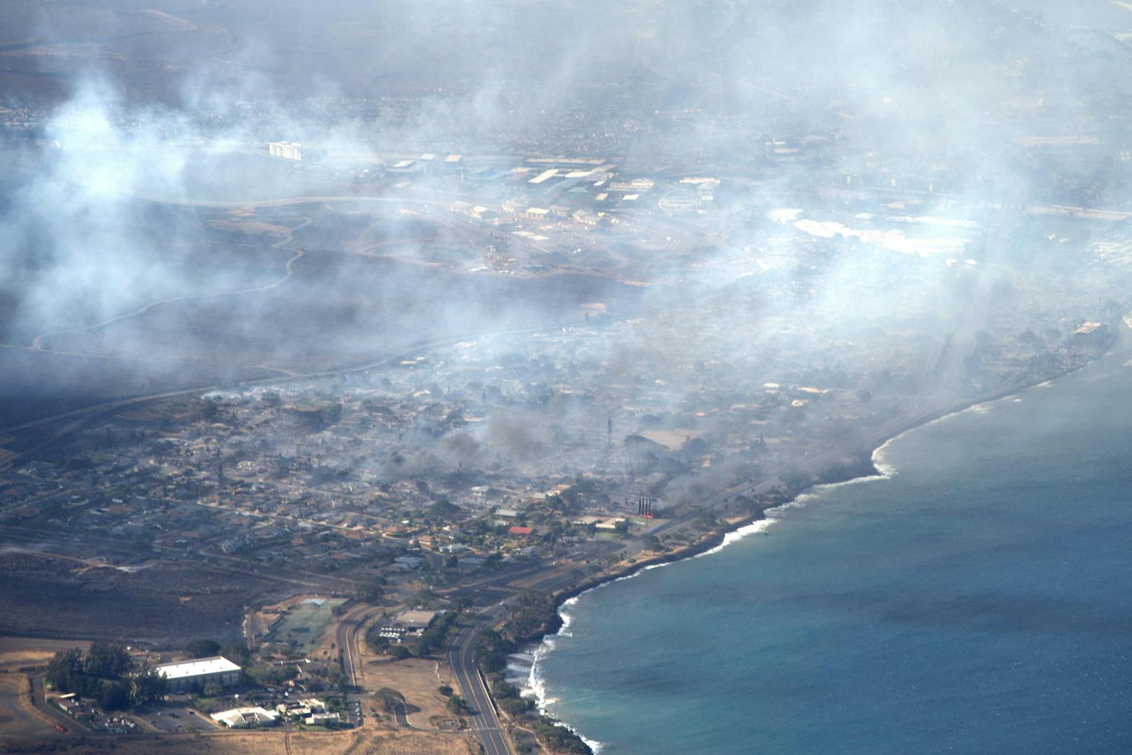 Auf Hawaii sind Busch- und Waldbrände außer Kontrolle geraten. Mindestens 36 Menschen sind ums Leben gekommen.