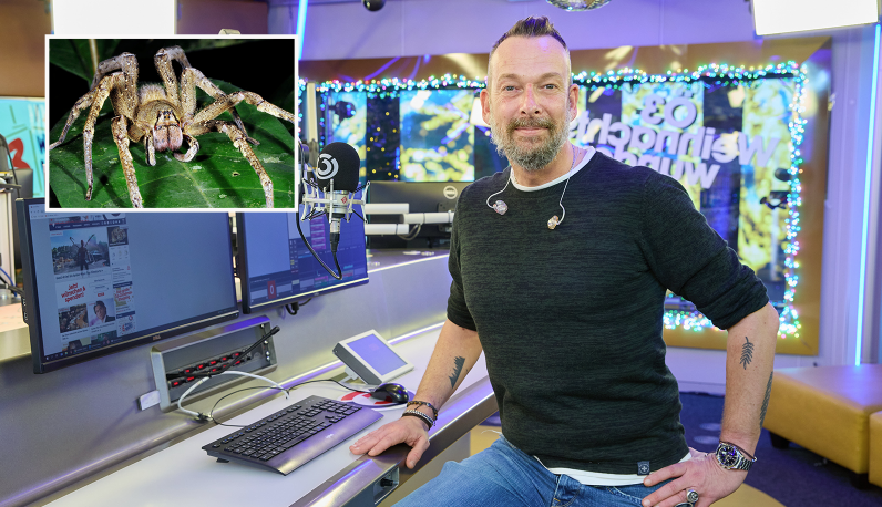 Robert Kratky hat Angst vor Brasilianischer Wanderspinne.