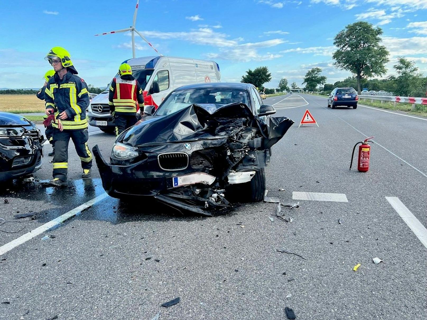 Ein mitfahrender Hund blieb unverletzt.