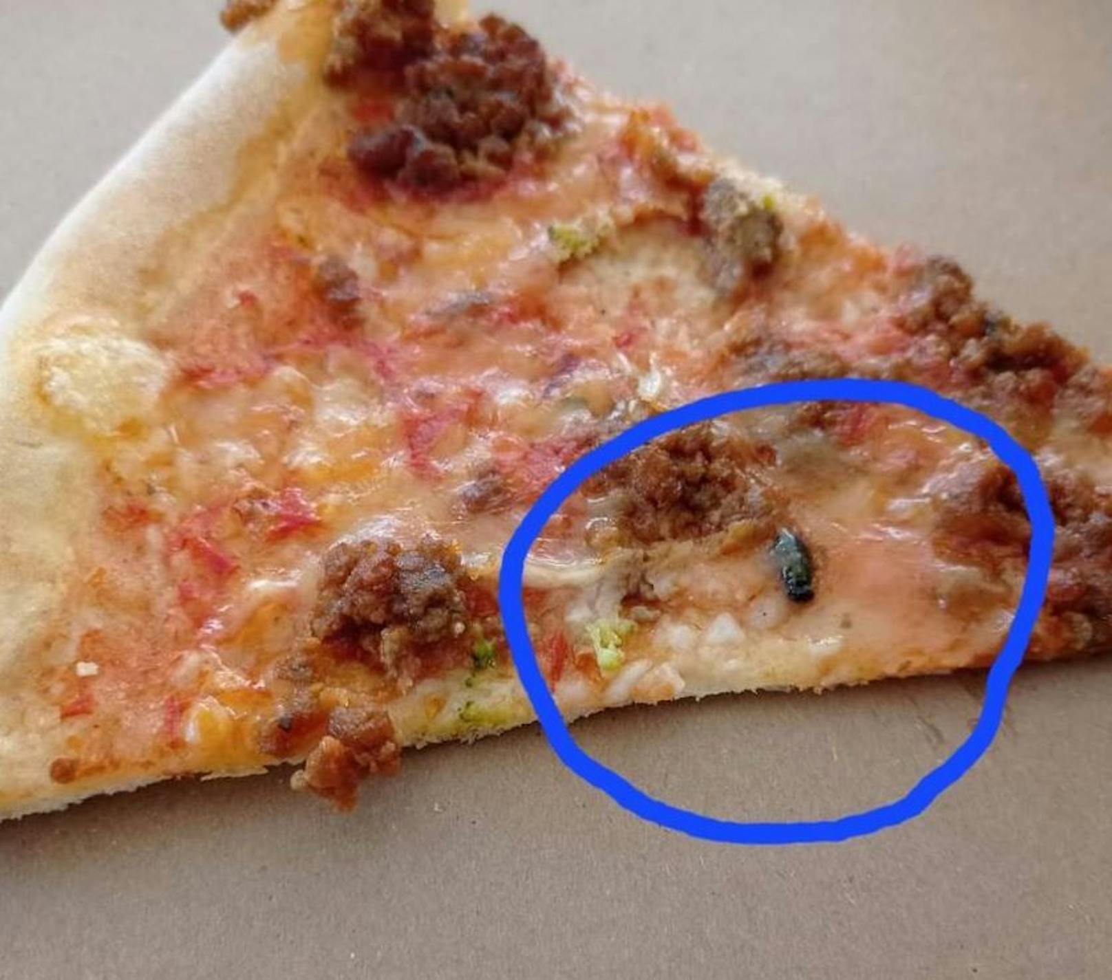 Die Frau fand eine überbackene Fliege auf ihrer Pizza.