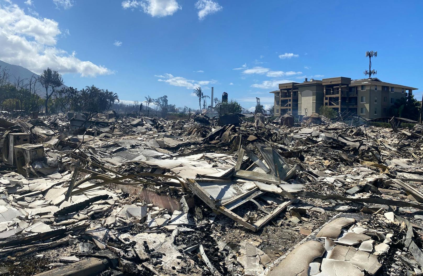 Waldbrände auf Hawaii – Zahl der Toten steigt auf 67