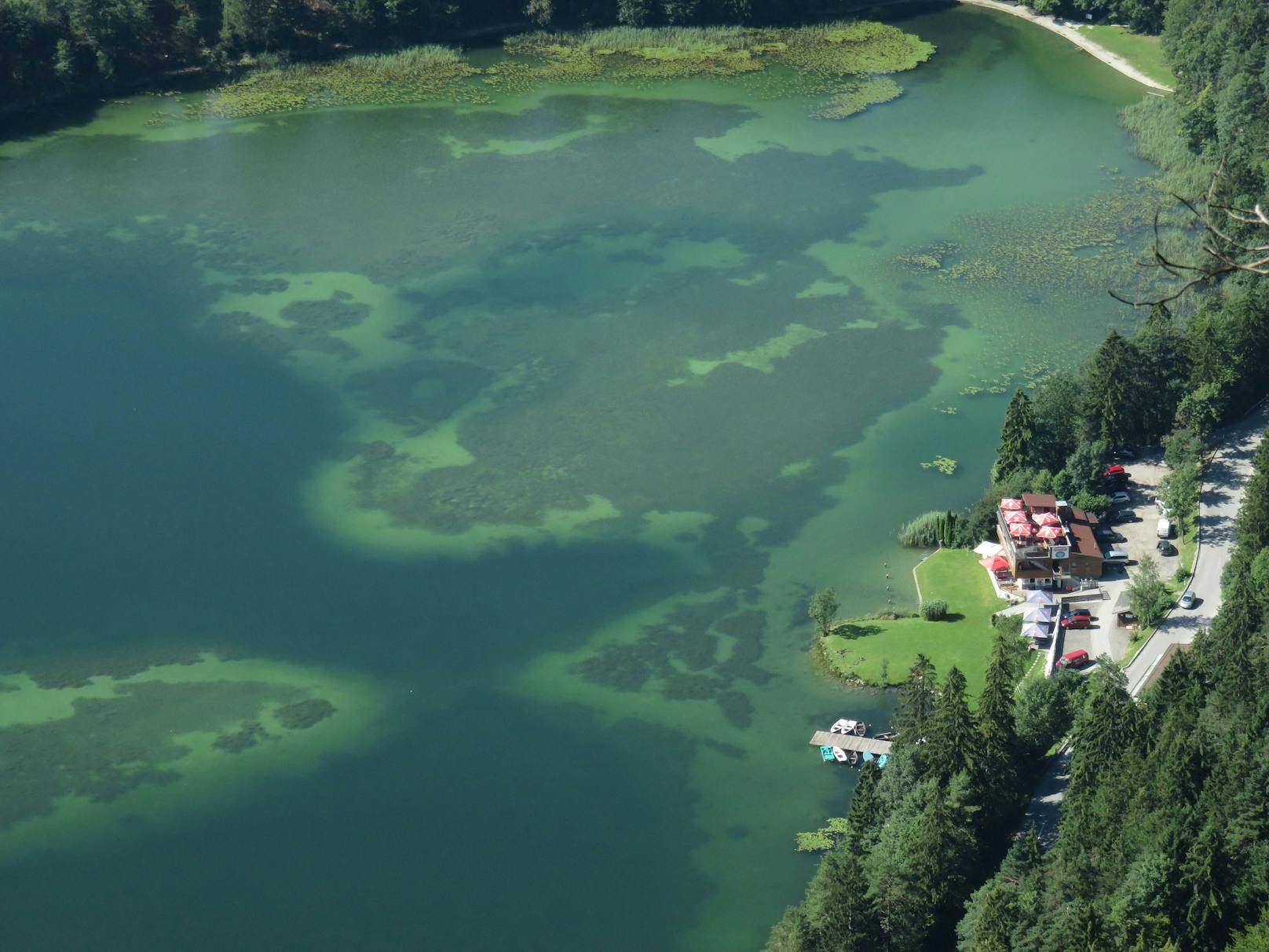 Der Reinthaler See in Kramsach.&nbsp;