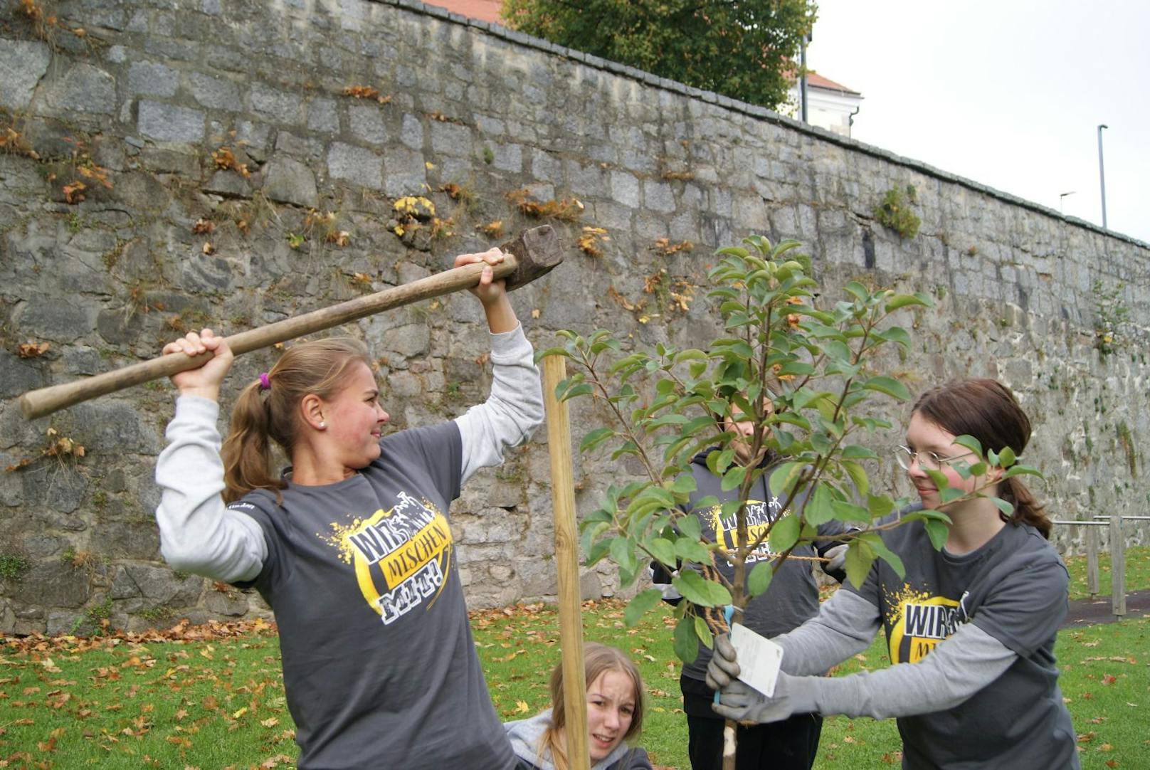 Teilnehmer des Projekts "Wir pflanzen Freistadt"