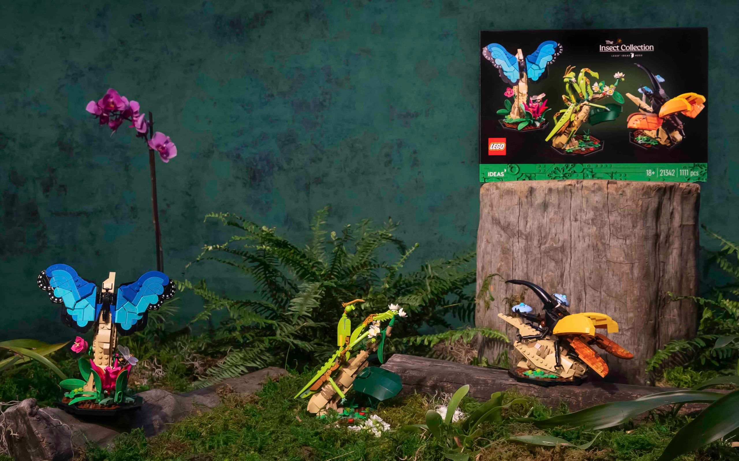 Das große Krabbeln mit dem neuen Lego Ideas Die Insektensammlung&nbsp;Set